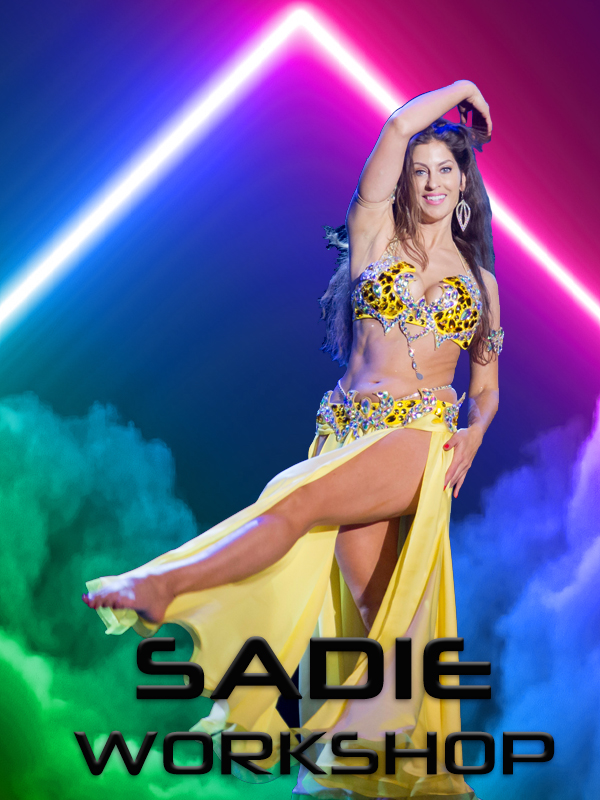 SADIE workshop TEASER